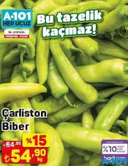 ÇARLİSTON BİBER fiyat ve kampanya bilgisi